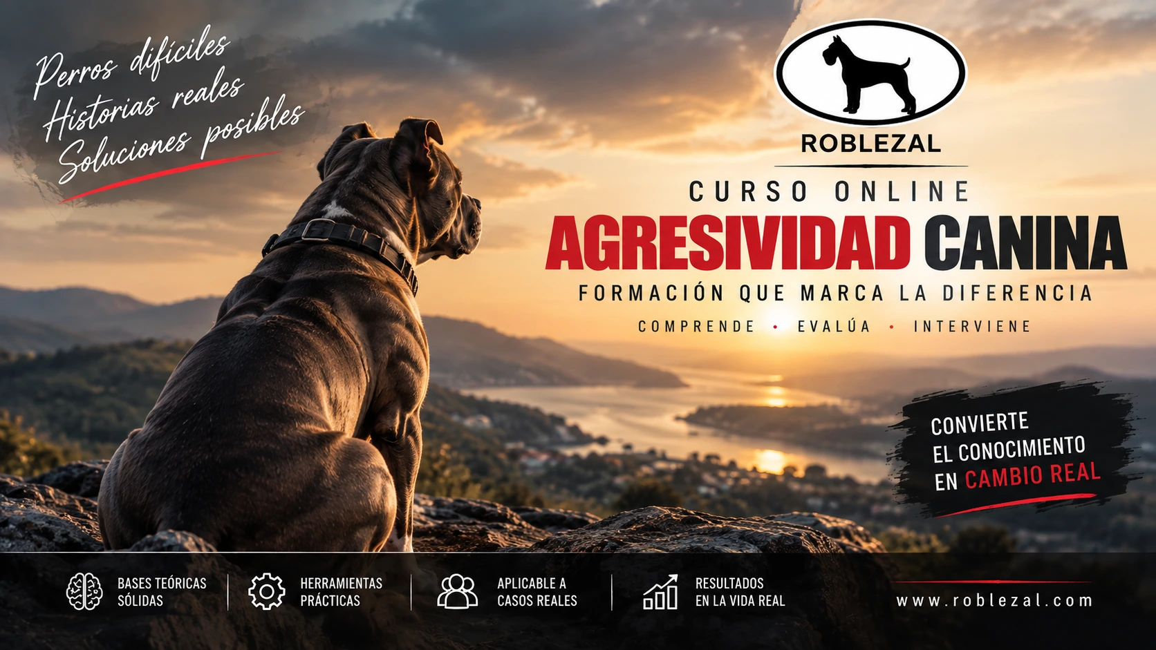 Curso para aprender a evaluar y manejar perros agresivos en Centro Canino Roblezal