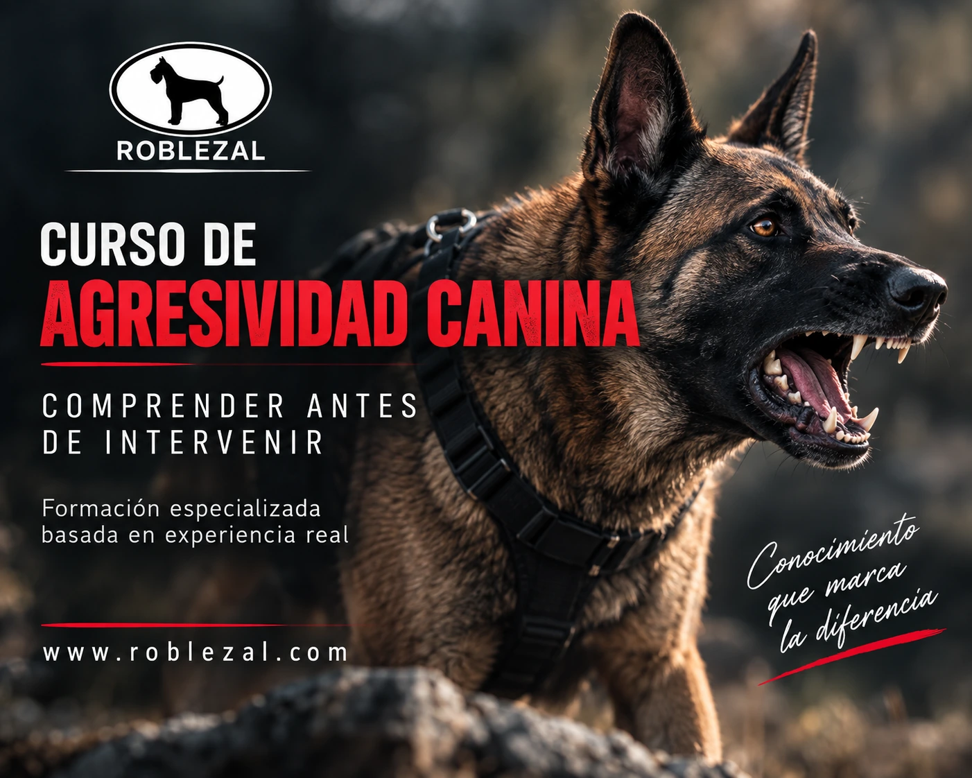 Curso de agresividad canina de Centro Canino Roblezal
