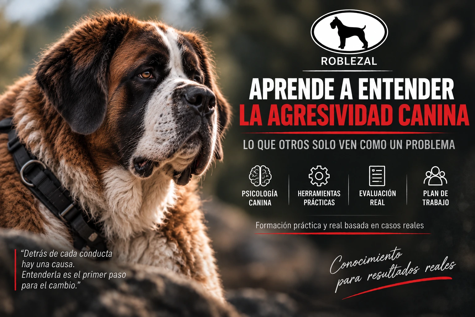 Formación sobre manejo y rehabilitación de perros agresivos en Roblezal